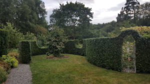 Hedge shaped topiary style