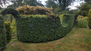 Hedge shaped topiary style