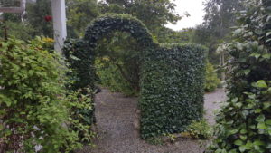 Hedge shaped topiary style
