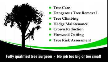 Lucas Tree Services business card